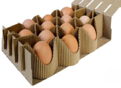 خرید بسته بندی تخم مرغ محلی + قیمت عالی با کیفیت تضمینی